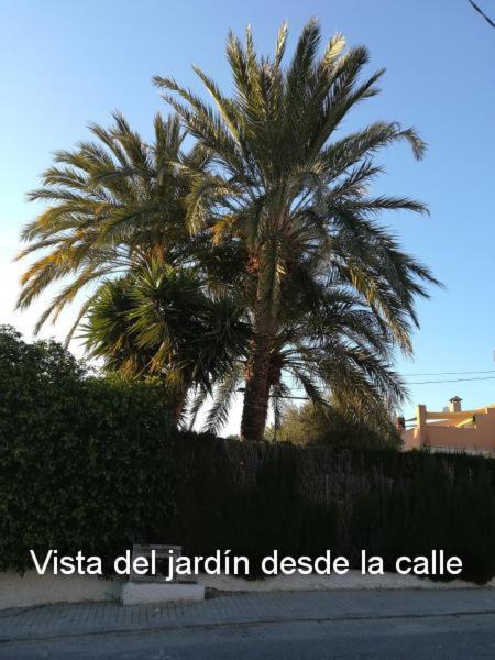 Sun & Palm Trees Apartman Balsares Kültér fotó