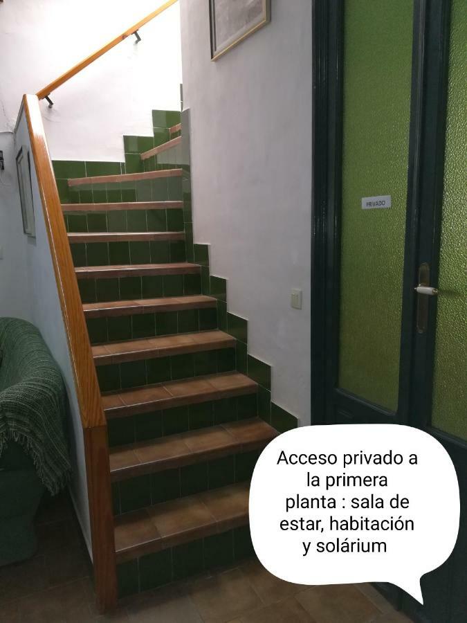 Sun & Palm Trees Apartman Balsares Kültér fotó