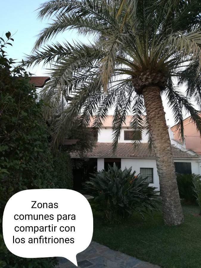 Sun & Palm Trees Apartman Balsares Kültér fotó